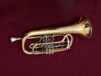 Small picture of an alto flugelhorn